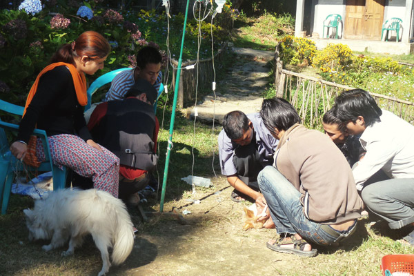 Kalimpong-Animal-Shelter-(KAS)