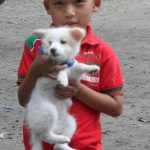 A young lad with his pet for anti-rabies vaccination