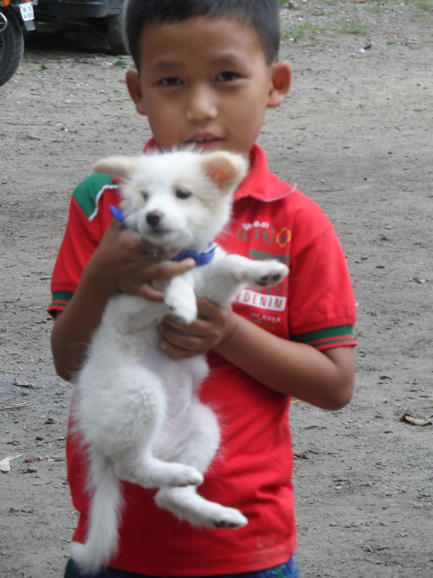 A young lad with his pet for anti-rabies vaccination
