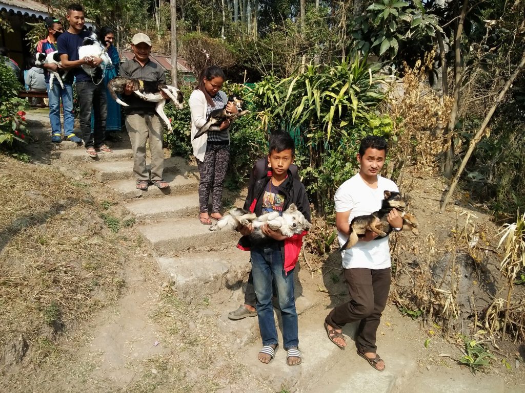 Pet owners bringing their animals for their vaccination and surgery