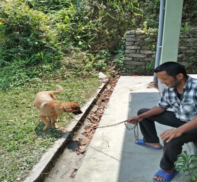 Dogs brought for anti-rabies vaccination and surgery 2
