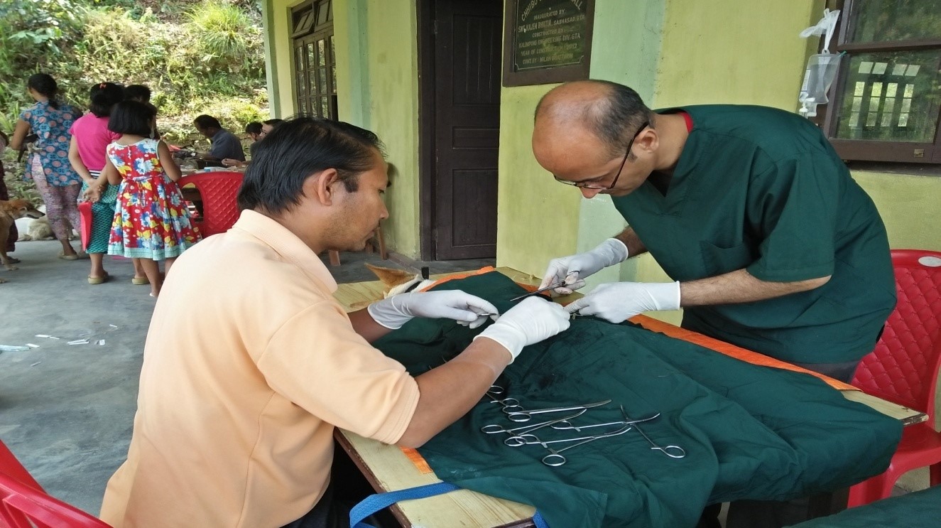 Dr.D.P.Pandey assisted by the shelter staff, Lil