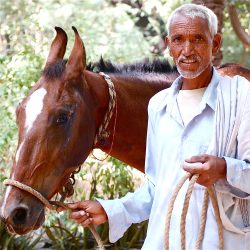 A man and his horse A man and his horse
