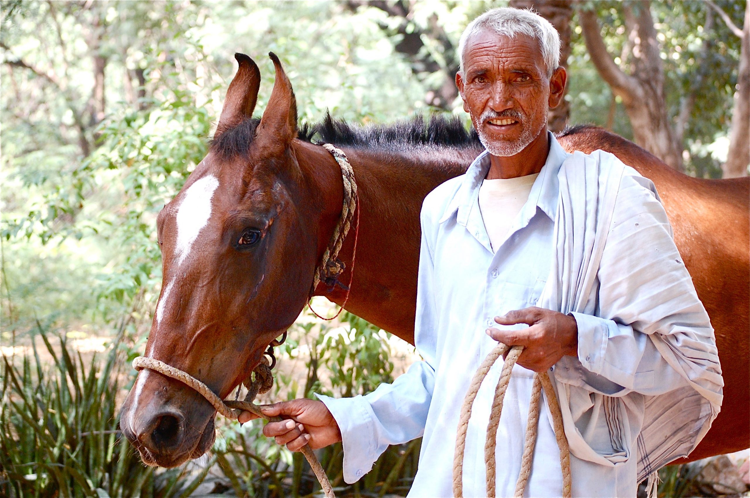 Man And His Horse, Help In Suffering Animal Shelter, Jaipur, 2010