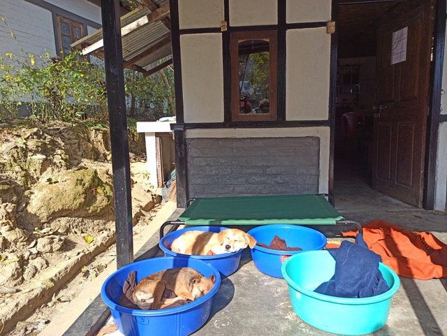 Blankets and bowls are already placed for the dogs to help them fight the winter weather