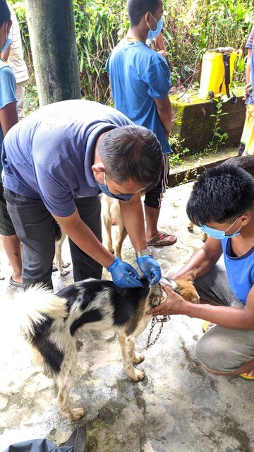 Pictures of camp and Siliguri team with Mr. Lakpa and spayed dogs 2