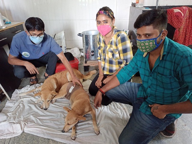 Pictures of camp and Siliguri team with Mr. Lakpa and spayed dogs 8
