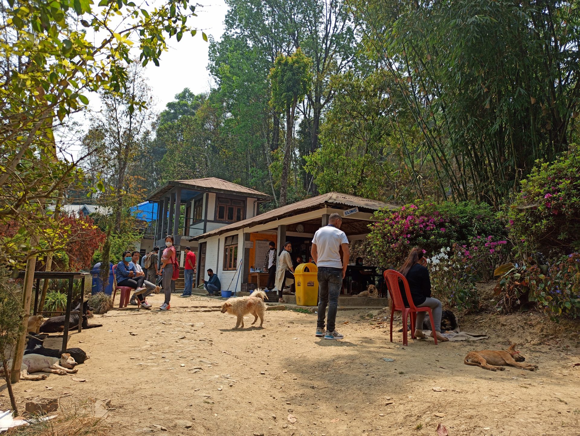 Treatment area at Kalimpong Animal Shelter (KAS)