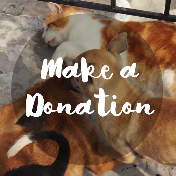 make_a_donation_sidebar