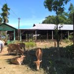 Image 13: The Highland created at Jhapooripather village with the support of the Dharamsi Morarji Chemical Co. Ltd.