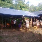 Image 14 and 15: The Highland at Jhapooripather being used by villagers and animals. This Highland proved to be a great boon to the 100-odd families of this village as they could take shelter here during the flood.