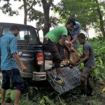 Hog Deer rescues