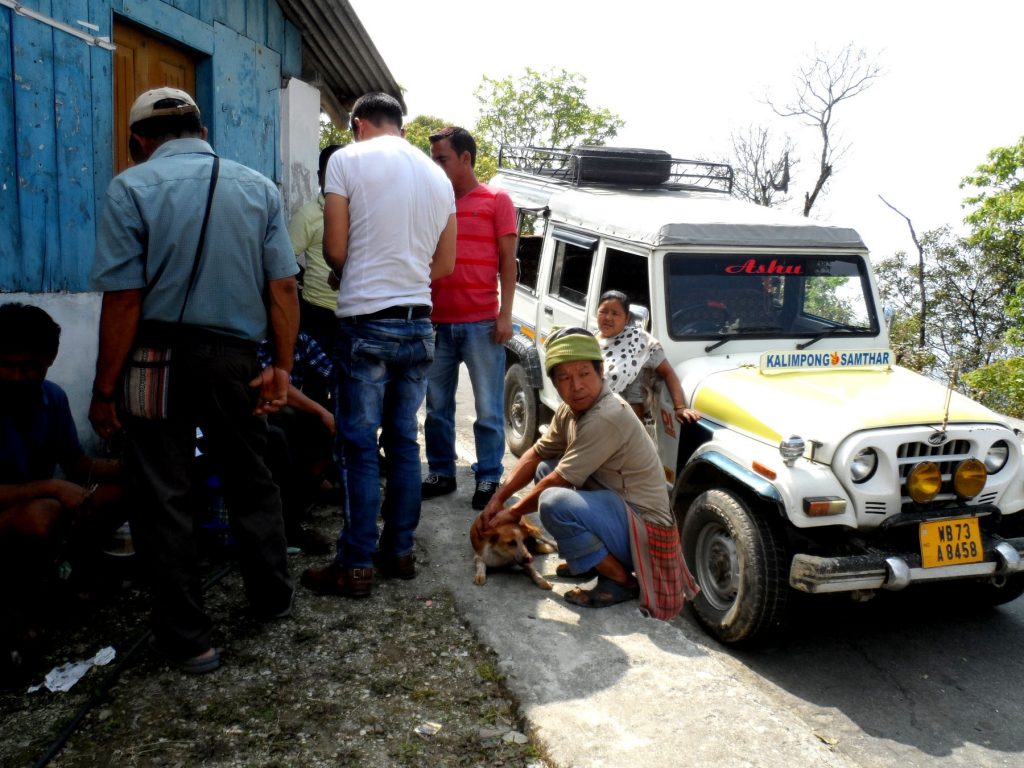 Owners with their pets for the anti-rabies vaccination