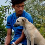 A lovely companion sitting with his owner