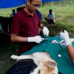 Dr.Deo.Prakash Pandey with his assistant, Lil Thapar busy with the surgery