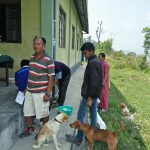 Dogs with their owners for the yearly anti-rabies vaccination and the one behind for treatment of parvo