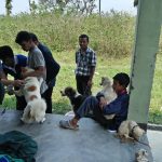 Dogs with their owners for the yearly anti-rabies vaccination and the one behind for treatment of parvo
