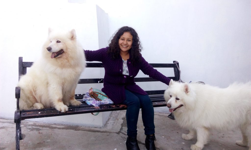 Illustration shows Yogita sitting with two dogs at DAS who had been brought to the shelter for vaccination and spaying.