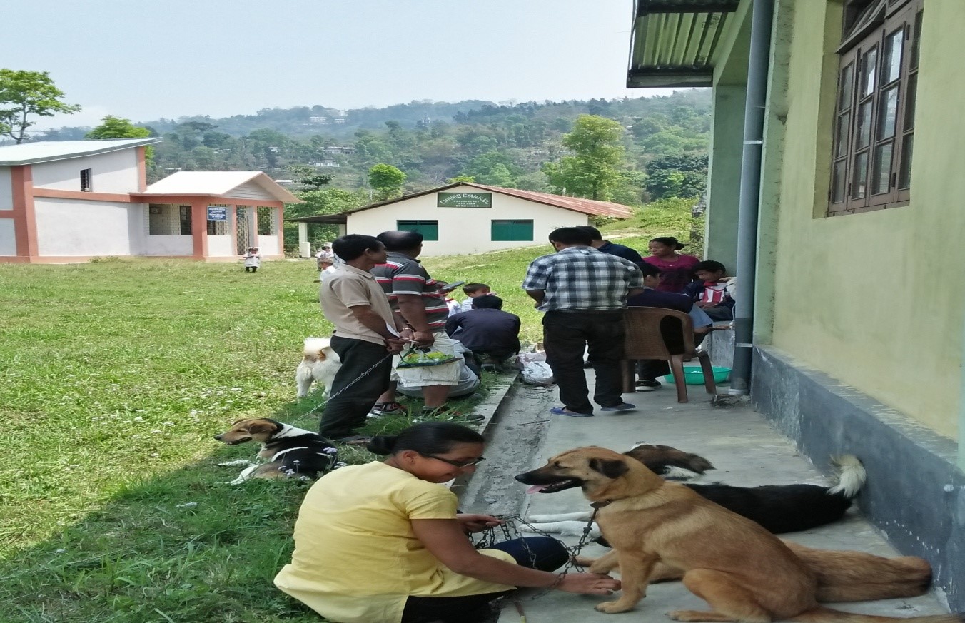 Owners waiting outside for their pets’ anti-rabies vaccination and treatment