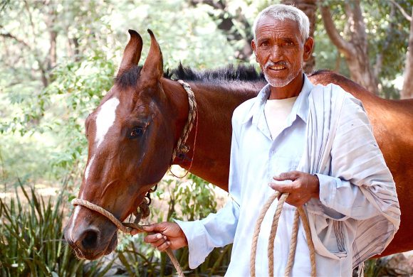 A man and his horse