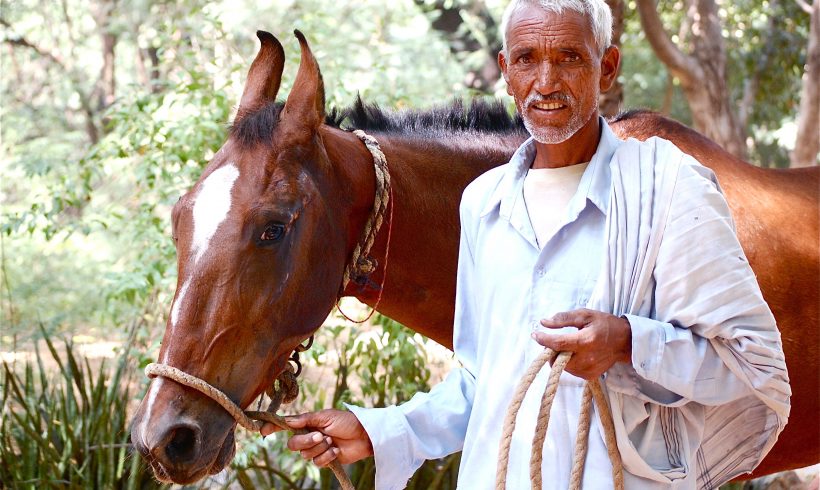 A man and his horse