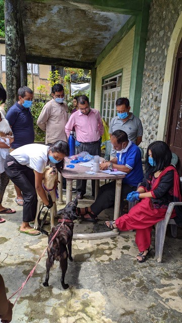 Pictures of camp and Siliguri team with Mr. Lakpa and spayed dogs 3