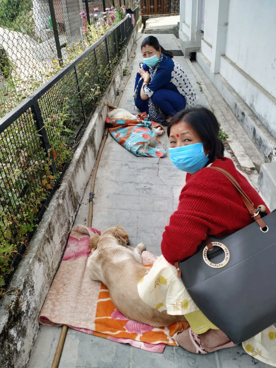 Onwers waiting for their dogs to regain consciousness after spaying at Darjeeling Animal Shelter