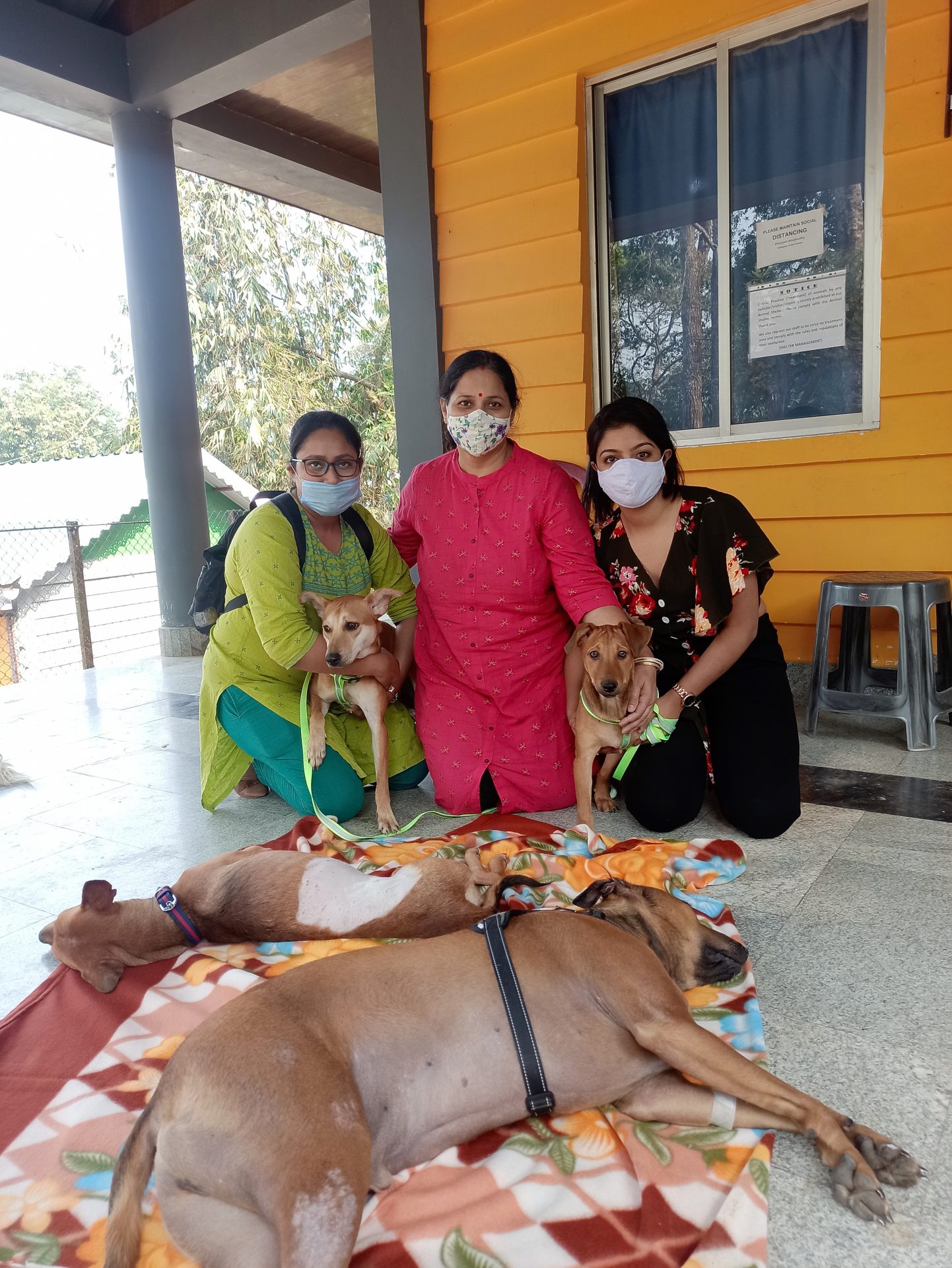 Owners wait outside the KAS OT along with their just spayed dogs