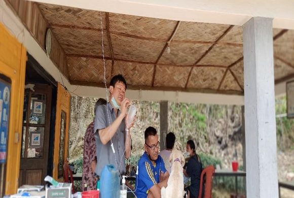Weekly Report from Kalimpong Animal Shelter