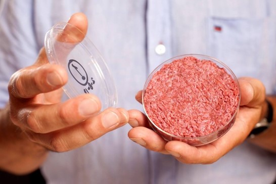 Thousands of individual muscle fibres combine to form a lab-grown burger. (Pic: Mosa Meat)