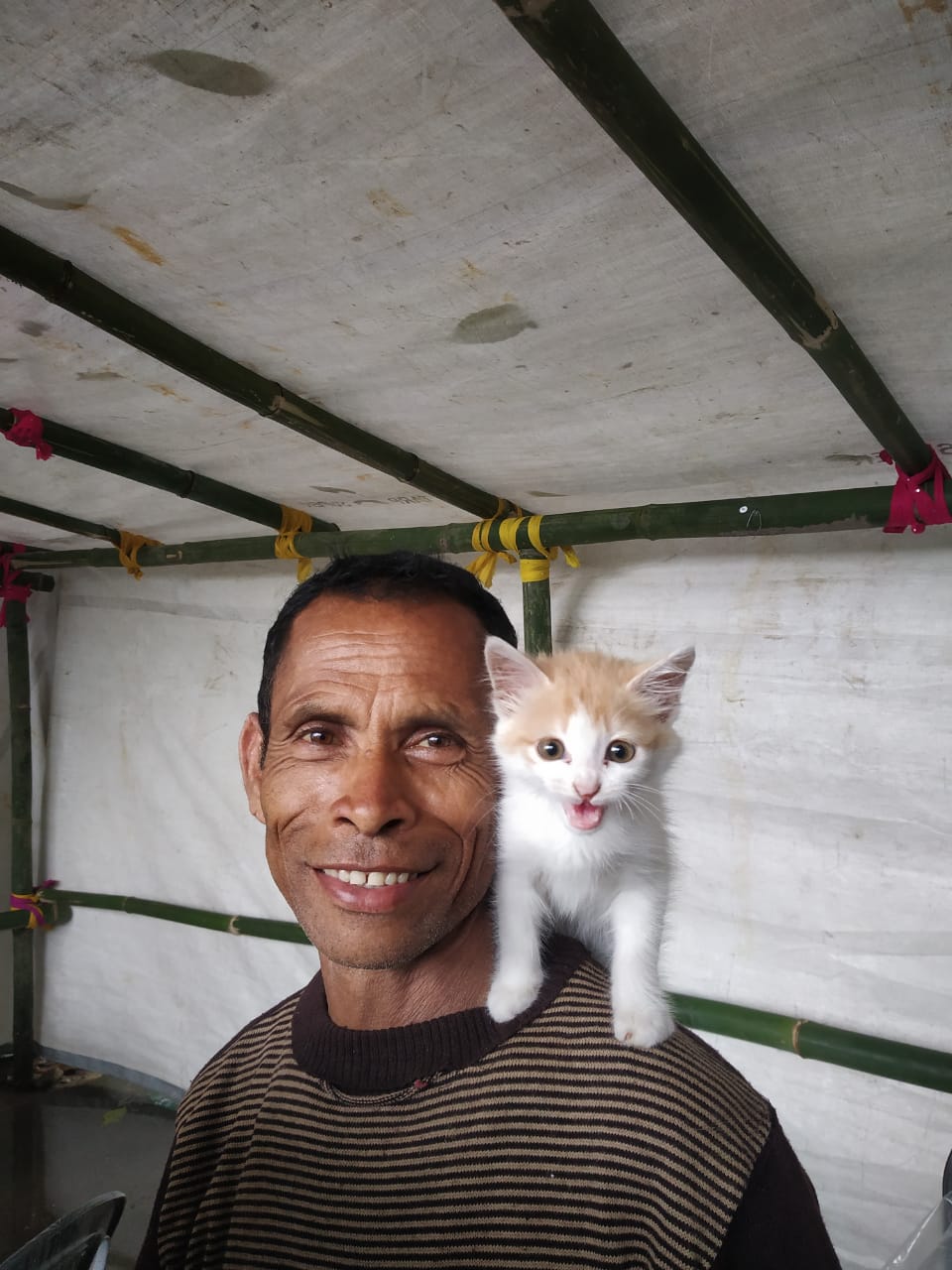 At Village camp , the kitten was brought for her health check up